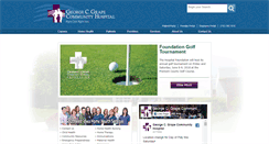 Desktop Screenshot of grapehospital.com